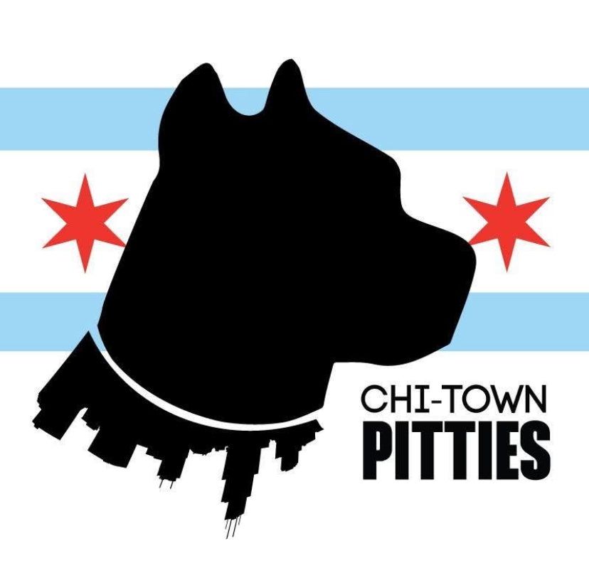 Pet Portrait Pinchpot Workshop - 9/20 Sun. 1-3:30pm - Benefiting CHI-TOWN PITTIES Rescue